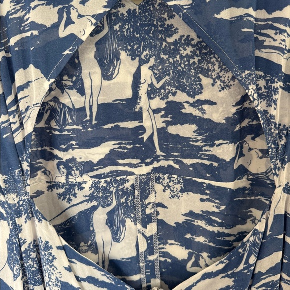 Reformation Naked Lunch Print Blue and White Maxi Dress - Picture 9 of 15